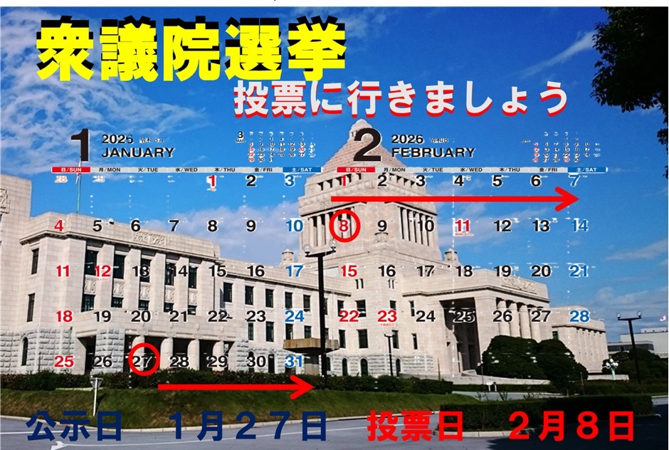 ２０２６1月衆議院選挙　