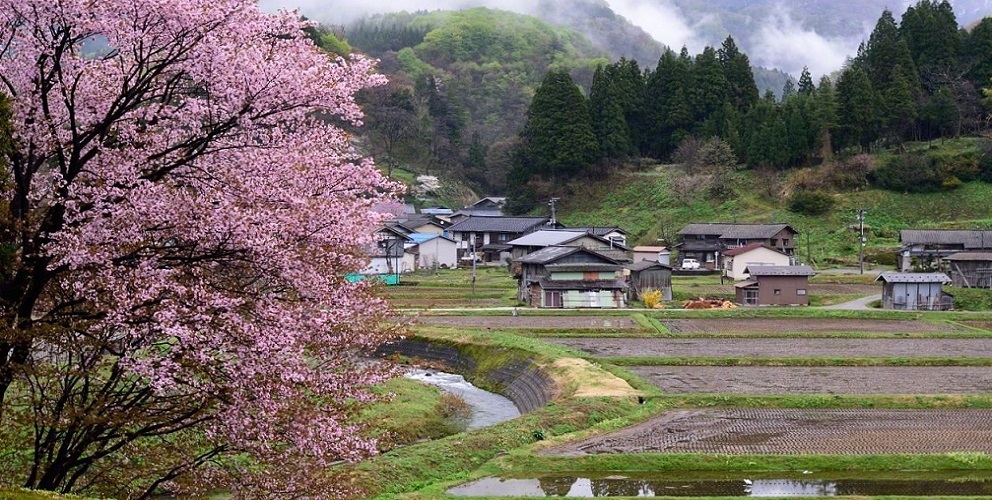 里山