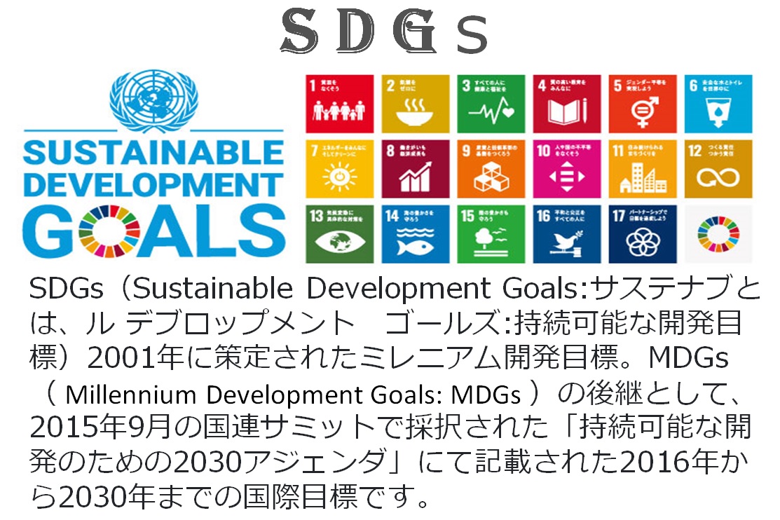 SDGsってなんだ